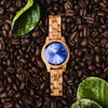 Oasis (Wholesale)